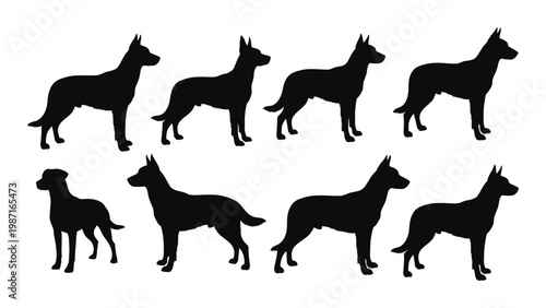 Silhouettes of various bull terrier dogs in different poses and perspectives