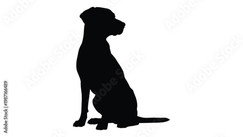 Silhouette of a labrador retriever sitting in profile against a white background