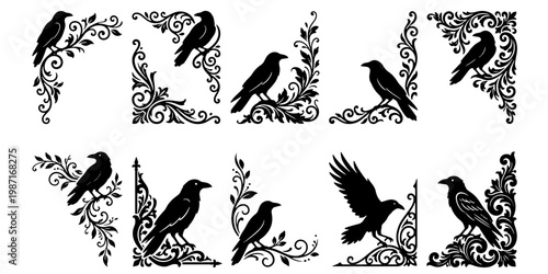 Schilderij op canvas Vintage crow corner borders set, gothic raven silhouettes with floral filigree,