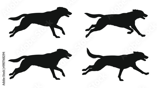 Four silhouettes of running dogs showcasing different stages of a gallop