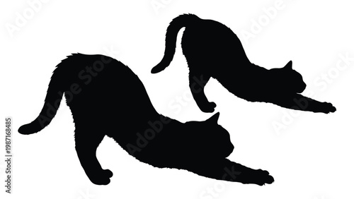 Two black cats in playful poses one stretching and one leaping depicted as silhouettes