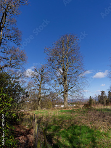 The view of the Susan Carnegie Centre at Stracathro Hospital near Brechin, with the buildings and Glens visible between the Trees.