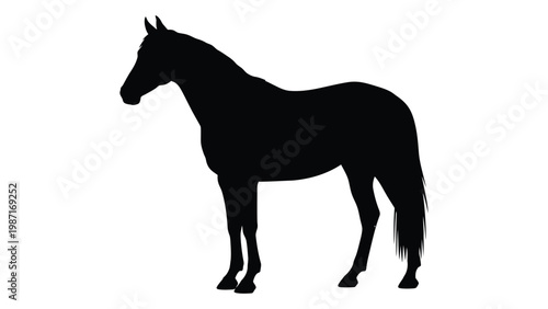 A striking silhouette of a horse stands prominently against a plain white background