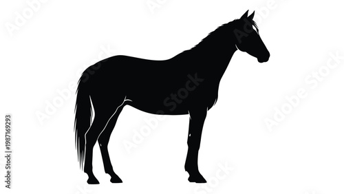 A striking black silhouette of a horse standing in profile against a white background