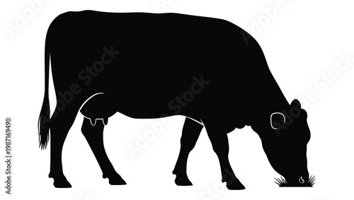 A black silhouette of a cow grazing on green grass in a field