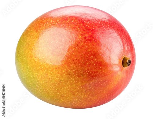 Ripe mango organic tropical fruit isolated PNG on transparent background, orange and red/small, advertising graphic for smoothie shops and fresh produce markets