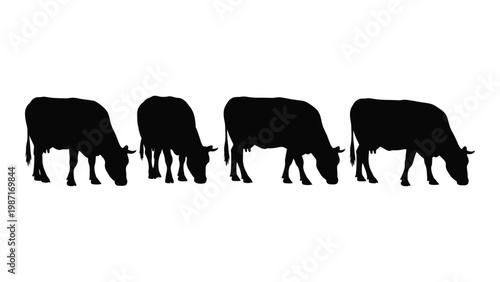 Four cows grazing in a field depicted as black silhouettes against a white background