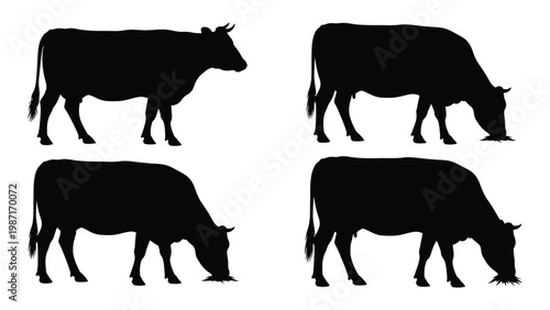 Four black silhouettes of cows grazing in a field shown in varied poses