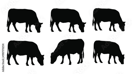Silhouettes of grazing cows in various poses presented as a set of six images