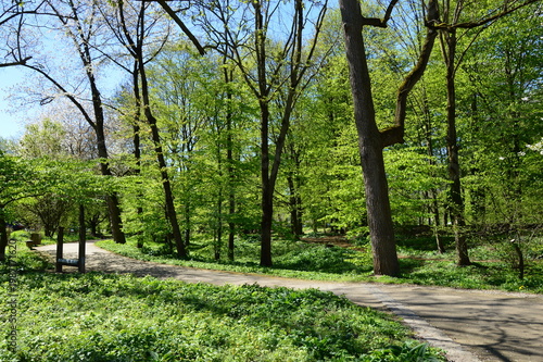 der Park im Frühjahr