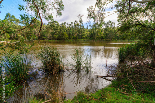 Canvastavla Birdsland Reserve, Belgrave Heights, Victoria, Australia