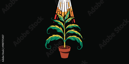 Small potted plant with vibrant green and yellow leaves growing under stylized rays of light on a black background.