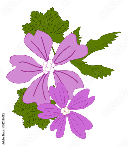 Malva viola stilizzata, grafica floreale decorativa