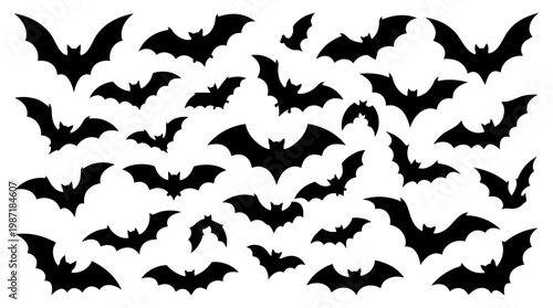 Group of flying black bats together.