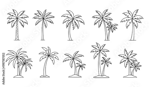 Continuous line palm tree illustration with abstract tropical flow and modern artistic botanical design vector