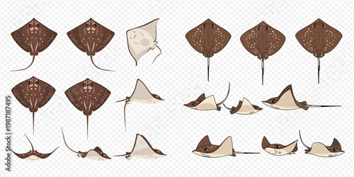 Set of various stingray illustrations in different poses and angles, showcasing their unique flat bodies and tails.