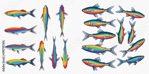 Set of colorful fish illustrations with various views, showcasing vibrant aquatic life for design projects.