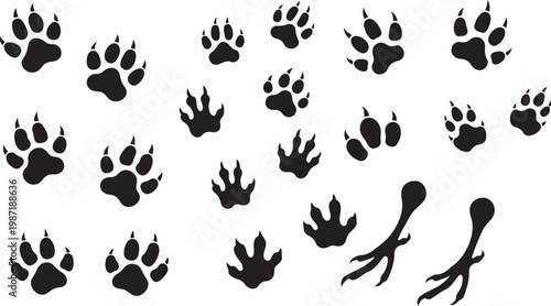 Comprehensive arrangement of black animal paw prints, shoe prints, and silhouettes of deer, foxes, and rabbits on a white background Keywords: paw print, animal tracks, footprint, shoe print