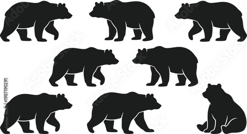 Vector illustration of black bear silhouettes in various walking and sitting positions