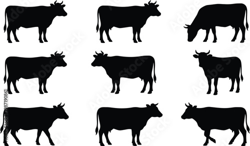 Black silhouettes of cows in various poses and angles on white background vector graphic illustration