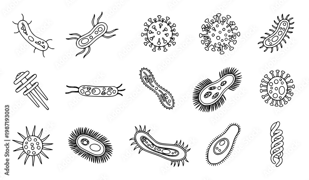 Εκτύπωση καμβά Microorganism line art vector set with bacteria virus and cell structures outlin