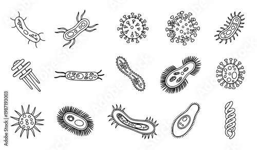 Microorganism line art vector set with bacteria virus and cell structures outline scientific illustration