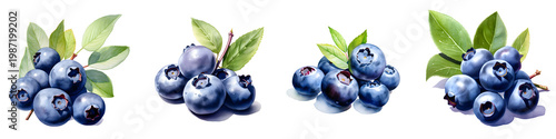 Delicious blueberry clusters arranged with leaves and twigs in watercolor style illustration