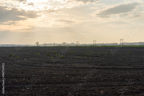 Photos Cultivated field under dramatic evening sky with sun rays through clouds, showing open agricultural landscape at sunset