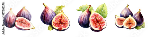 Delicious figs with leaves in watercolor isolated on black background