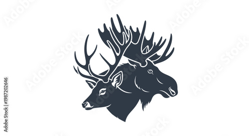 Elk Heads with Large Antlers Sideways.