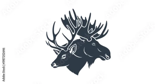 Fototapeta Elk Heads with Large Antlers Sideways.