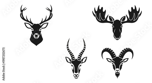 Four Different Antlered Animal Heads.