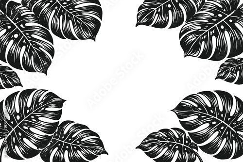 Tropical Monstera Leaf Frame Vector Illustration in High Contrast Vintage Engraving Style for Exotic Botanical Border and Summer Jungle Design