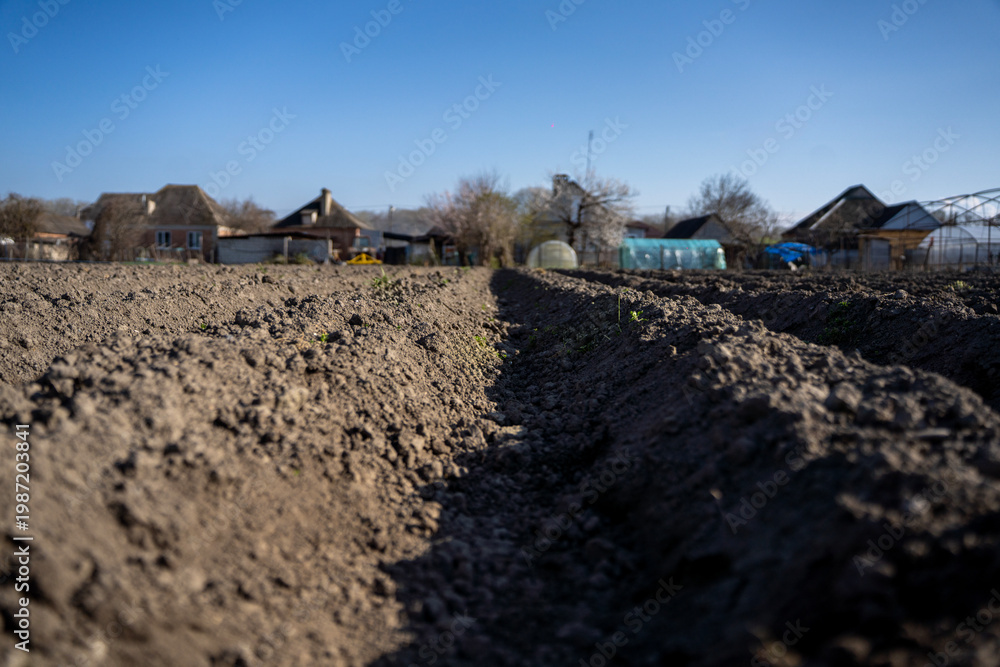 Obraz premium Prepared soil furrows in a rural garden near village houses and greenhouses, ready for spring vegetable planting under daylight.