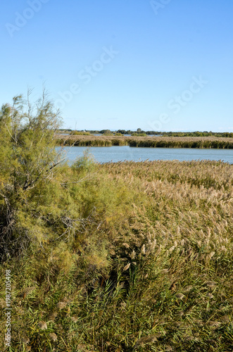 Camargue,