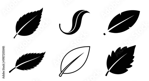 Set of black natural leaf vector icons and logo designs isolated on white background for plant concepts.