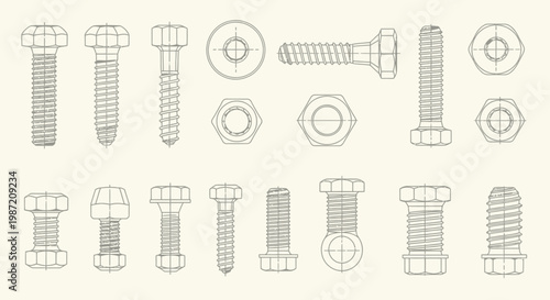 Technical Drawing of Bolts and Nuts Industrial Fasteners Vector