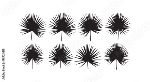 Eight stylized palm leaves in silhouette, tropical plant fronds, botanical elements.