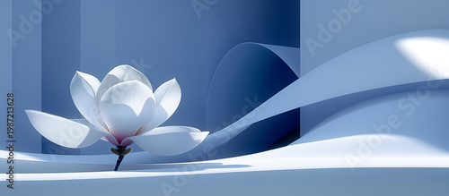 White magnolia flower in geometric blue minimal environment, modern abstract floral composition with soft shadows and architectural shapes