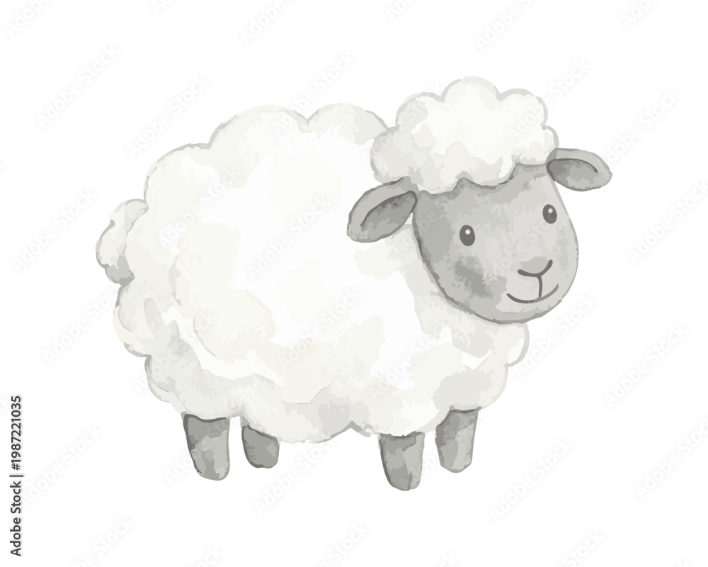 Obraz premium Cute watercolor illustration of a fluffy sheep standing.