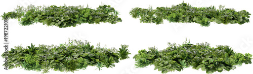 A small garden decorated with many plants on a transparent background.