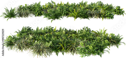 A small garden decorated with many plants on a transparent background.