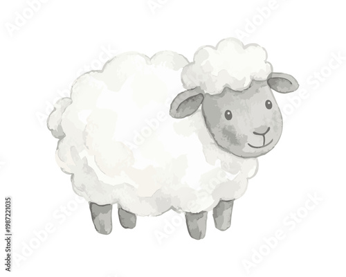 Cute watercolor illustration of a fluffy sheep standing.