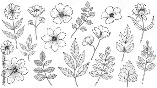 Extensive collection of beautifully hand-drawn floral elements, showcasing various flowers and detailed leaves in a classic black and white outline style.