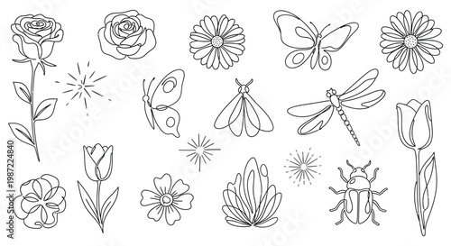 A collection of flowers and insects isolated on white background, Vector, illustration
