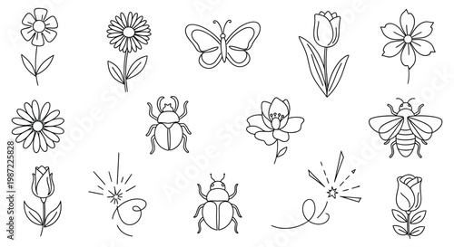 A collection of flowers and insects drawings isolated on white background, Vector, illustration