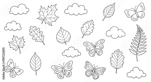 A black and white drawing of leaves and butterflies isolated on white background, Vector, illustration