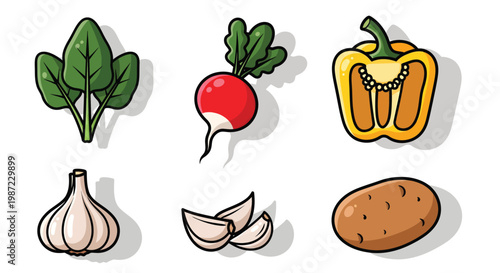 Fresh Vegetable Collection Spinach Radish Yellow Pepper Garlic and Potato Isolated on White Background Illustration