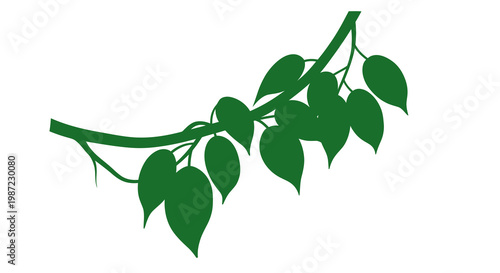 Green Tropical Jungle Vine Branch Vector Illustration Isolated on White Background for Nature Design