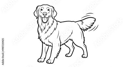 Happy Golden Retriever Dog Standing and Wagging Tail Vector Illustration, Simple Line Art Style Graphic for Coloring Book Page or Pet Shop Design Element